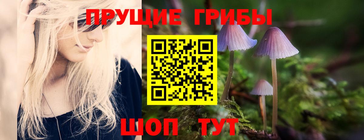 Псилоцибиновые грибы Psilocybine cubensis Ханты-Мансийск